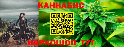 крисы Гай