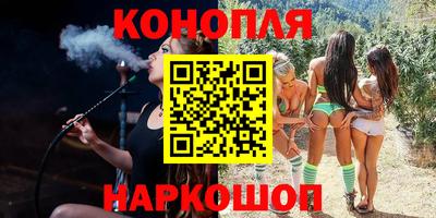 крисы Гай