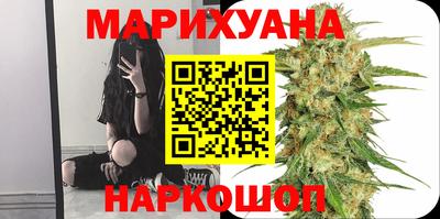 крисы Гай