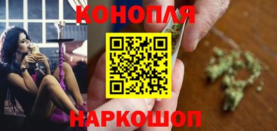 крисы Гай