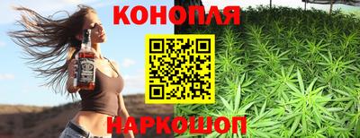 крисы Гай