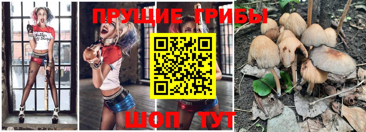 Галлюциногенные грибы прущие грибы  Галлюциногенные грибы GOLDEN TEACHER  Вход с VPN  Мурино 